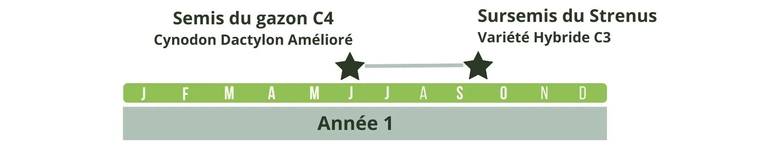 Calendrier d'implantation du Strenus et du cynodon dactylon